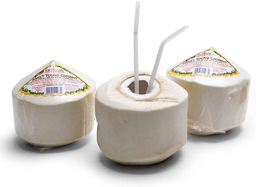 FRESH YOUNG COCONUT VIETNAM GREEN Premium WHITE Tropical Shell SWEET Style Packing Organic Pcs Color PURE Weight DRINK Shelf Chi