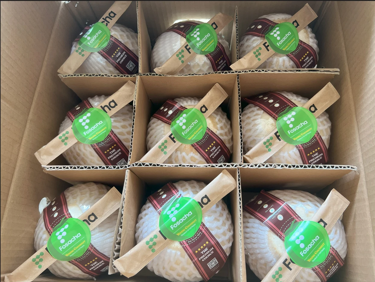 2023 HOT SELLING VIETNAM HARVESTED FRESH ORGANIC COCONUT WITH TIGHT QUALITY CONTROL