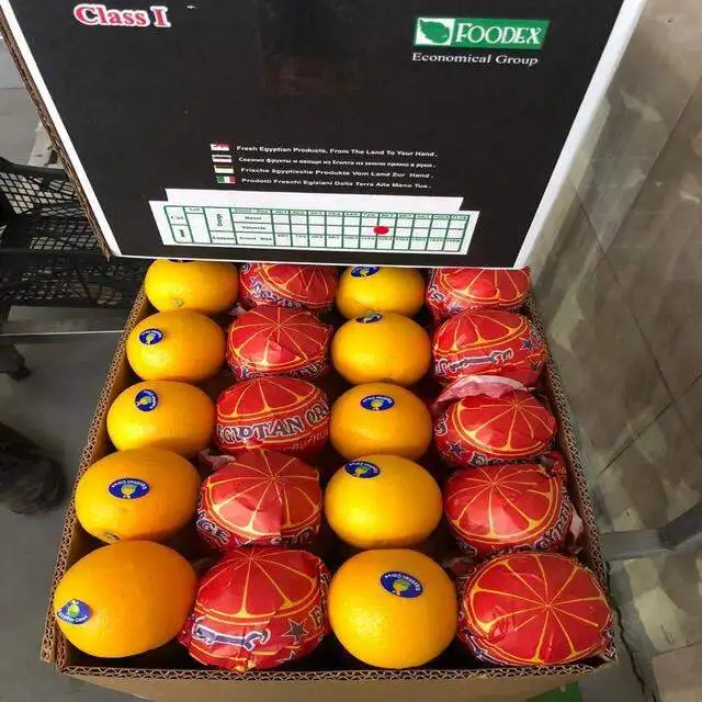 Citrus Fresh Orange new season