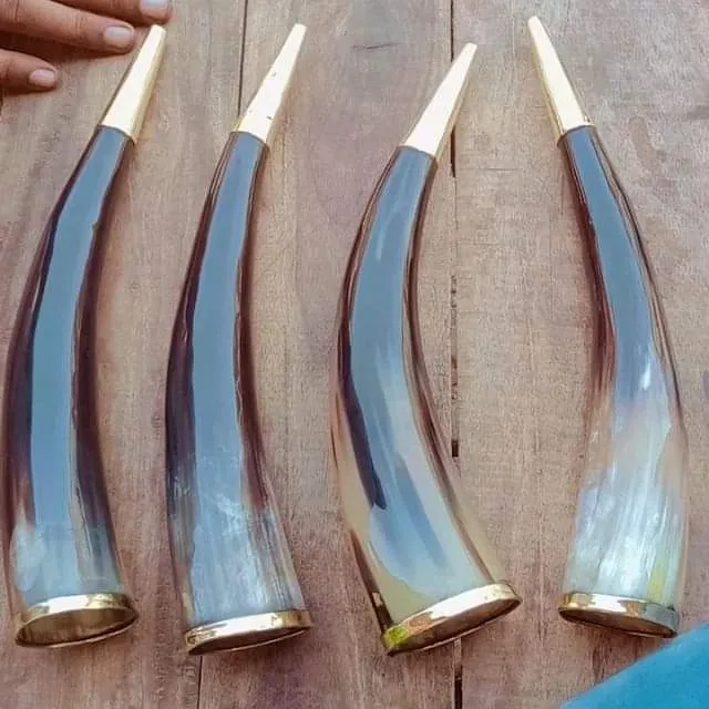 Low price cow horn natural color and drinking horn with polished for buffalo horn tabletop