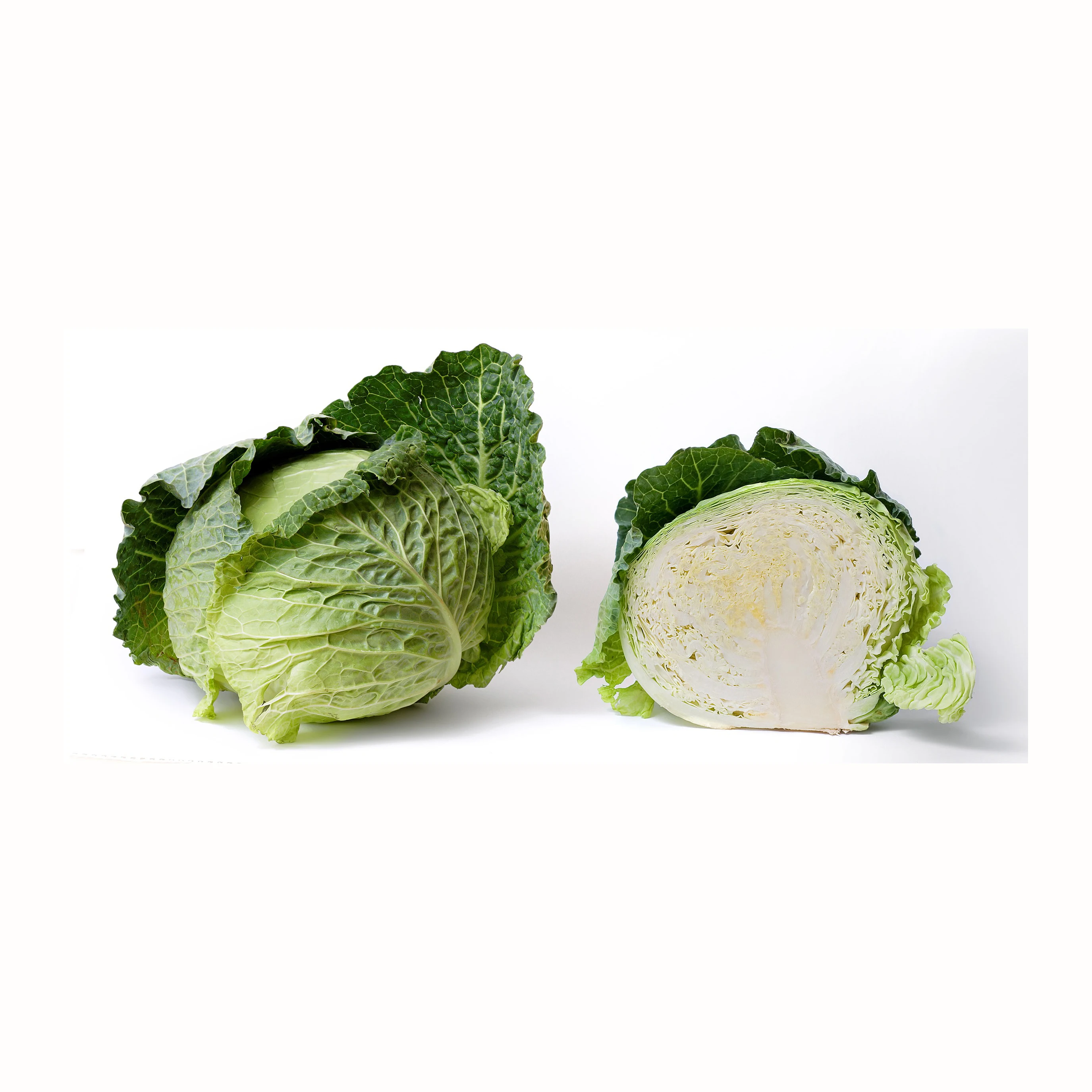 fresh cabbage fresh vegetables good quality cabbage wholesale with factory low price