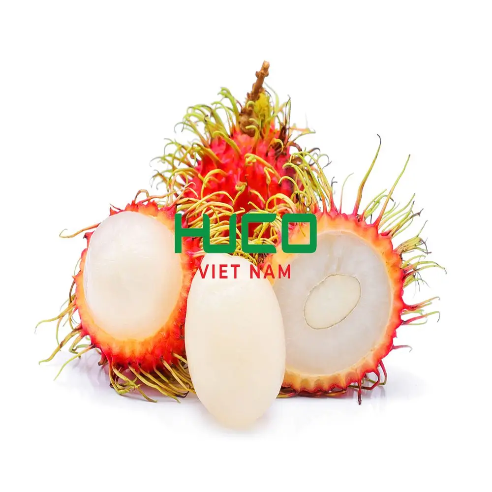 Best Quality Good Price 100% Organic Fresh Rambutan From Vietnam