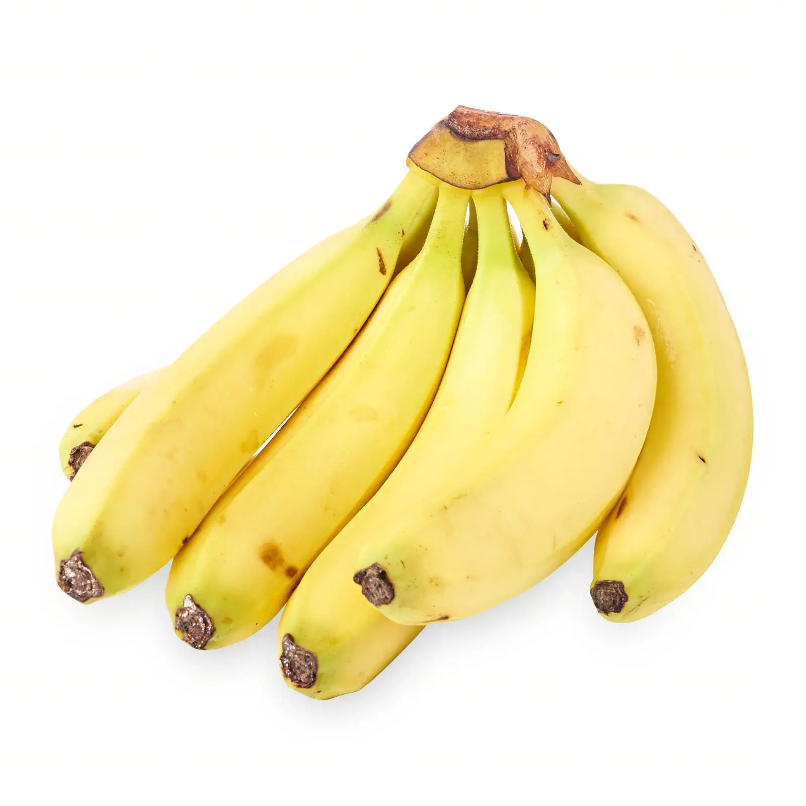 Wholesales in Bulk Low Price Banana High Quality Fresh Banana