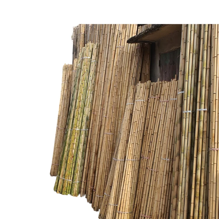 Cane Bamboo Pole for Plant Raw Viet FOA Materials Bamboo Sale Flower Hot Time Garden Support Feature Origin Cutting
