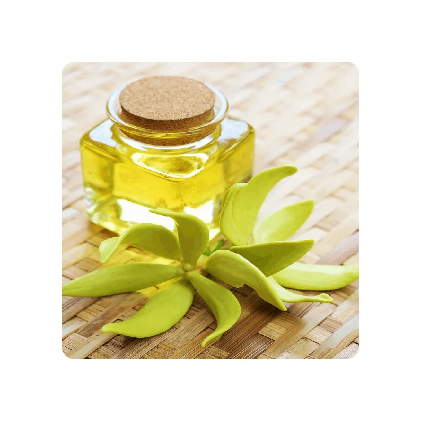 Original Perfume Pure Musk Fragrance From India Ylang Ylang Oil 100 % Pure & Natural Essential Oils Bulk Supplying