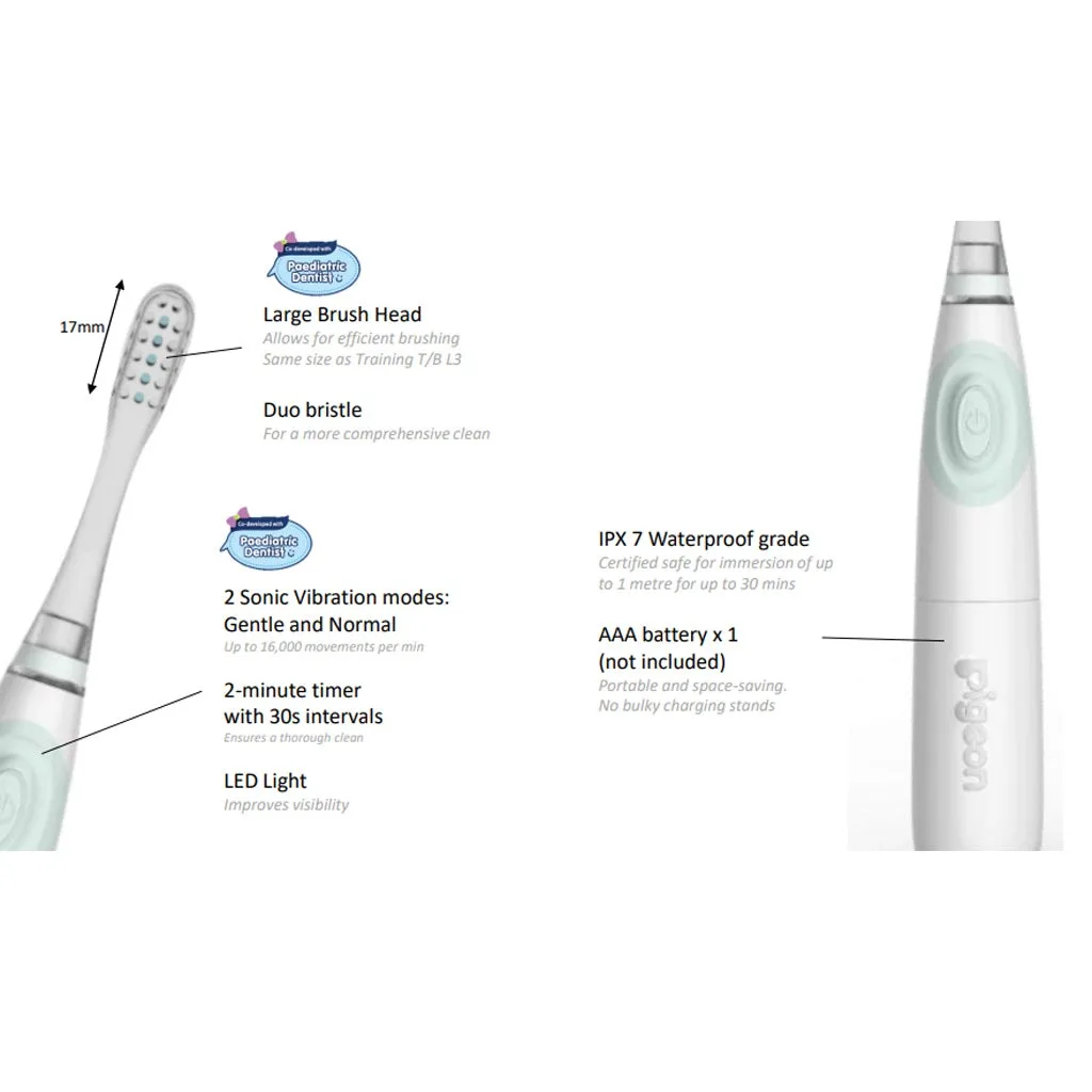 High Quality Electric Sonic Toothbrush Rechargeable Toothbrush China Shenzhen Smart