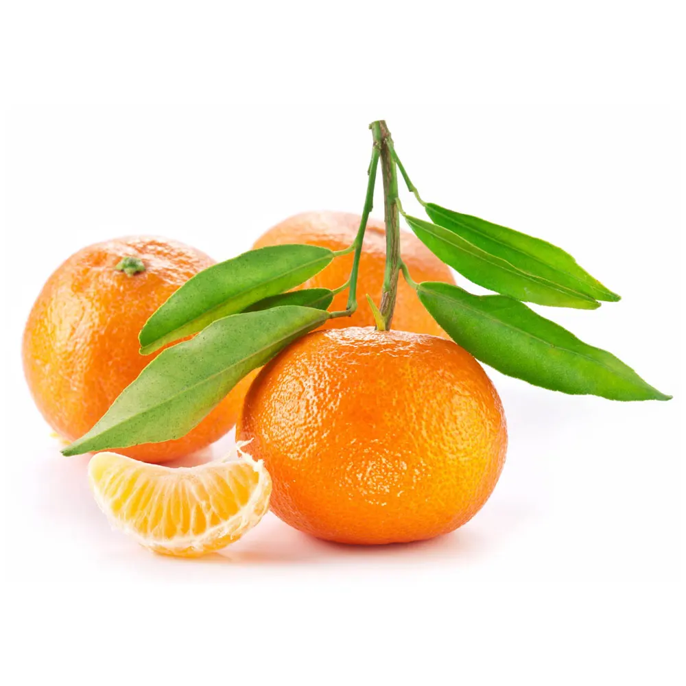 High Quality Fresh Organic Kanvie Orange Wholesale Kanvie Orange In Stock Kanvie Orange
