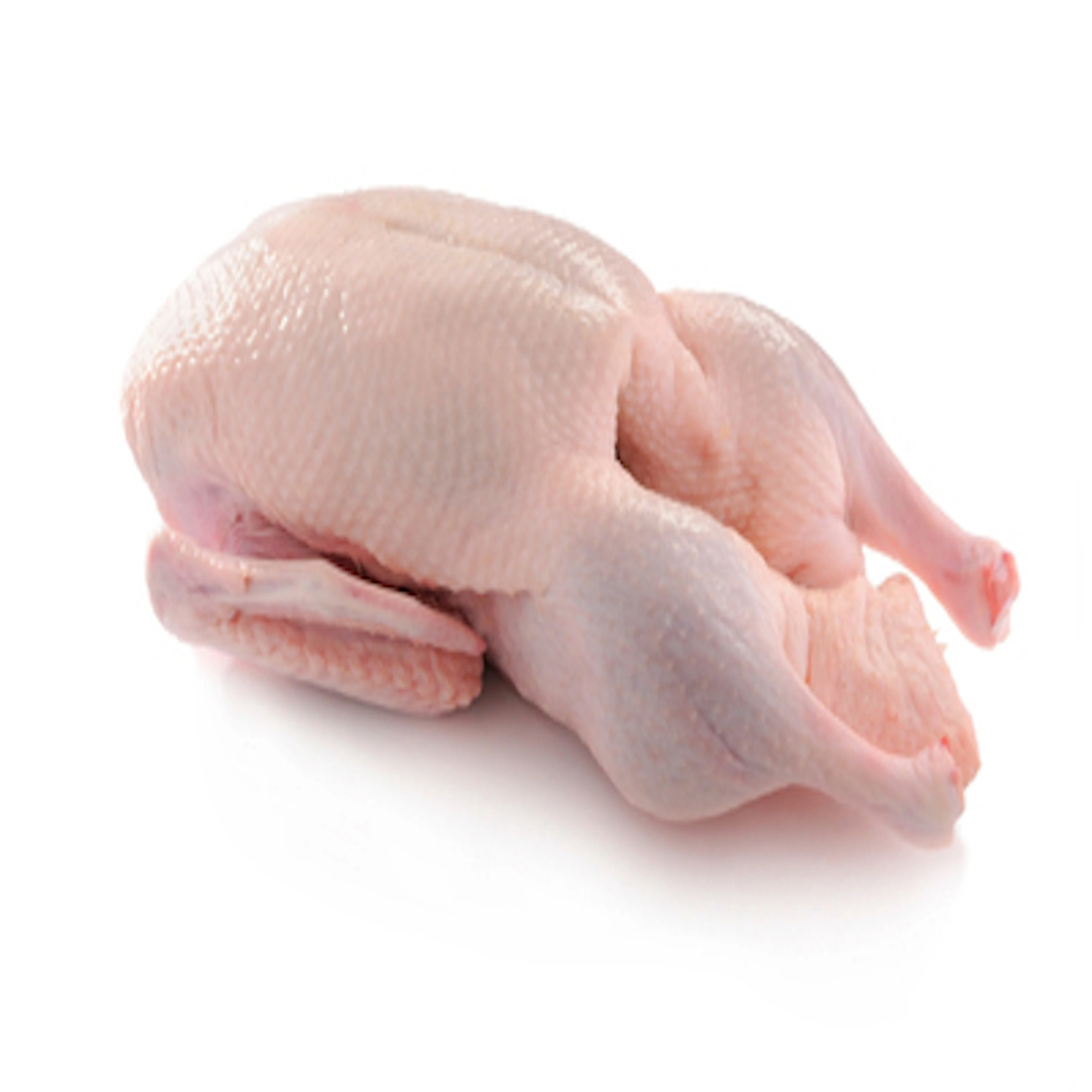Top High Quality Halal Frozen Whole Duck Available for Sale