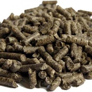 HOT SALE DRIED MOLASSES POWDER/ DRIED MOLASSES PELLET WITH BEST PRICE AND HIGH QUALITY - Ms Jolie ( whatsapp +84902679738)