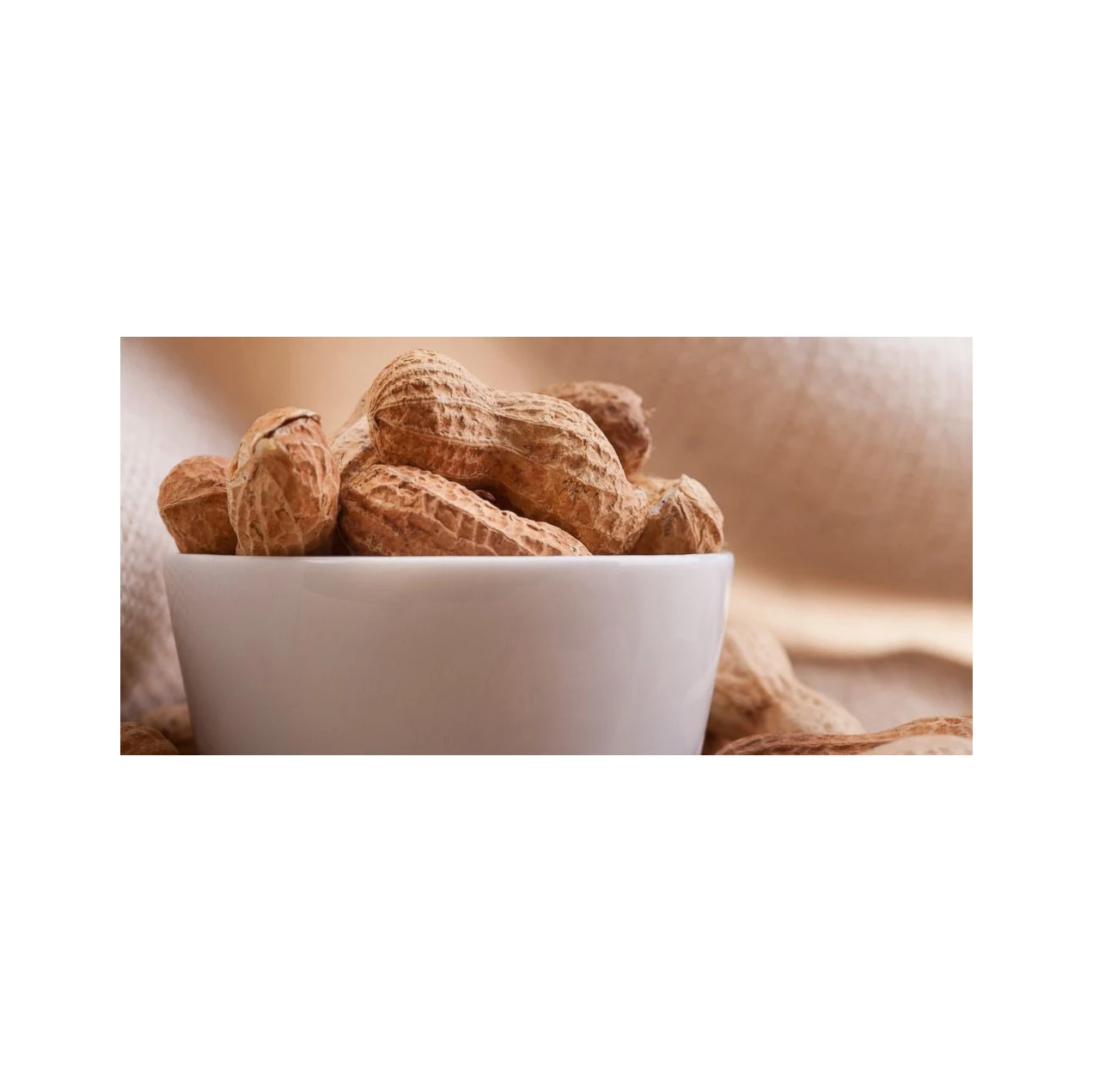 Best Price Dried Raw Peanuts / Peanuts in-shell Bulk Stock Available With Customized Packing High Quality Dried Raw Peanuts