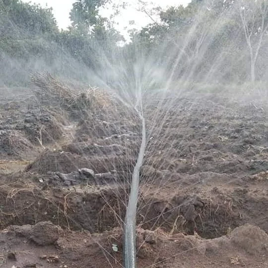 Plentirain Rain Spray tape PE Plastic Material Rain Hose Irrigation Sprinkler Hose