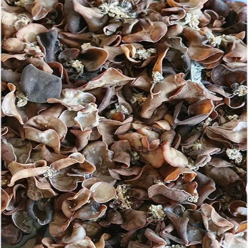 Лидер продаж-сушеные грибы из древесины-цельные и измельченные // Daisy + 84