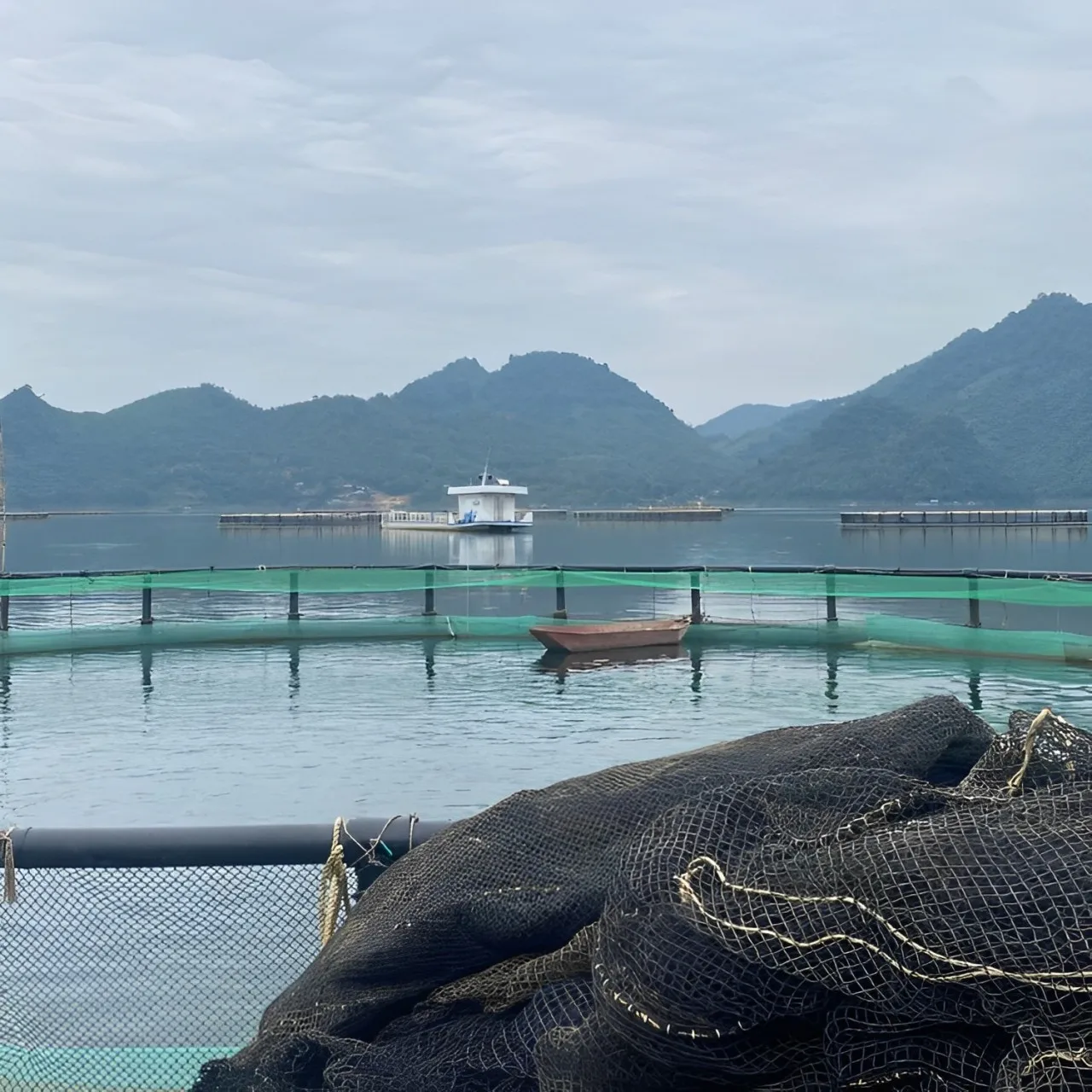 Wholesale Fish Aquaculture Farm Equipment Floating Cage Fish Breeding Cages Made In Vietnam Manufacturer