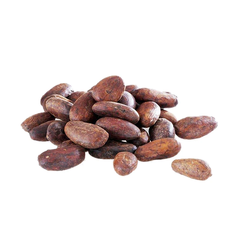 Cocoa beans 1.jpg