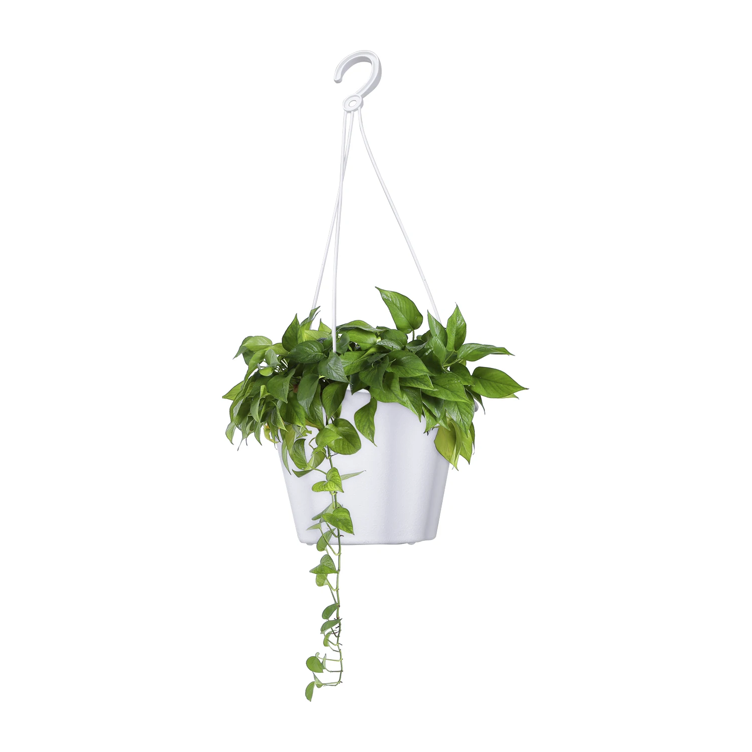 Flower shaped plastic pots  HYDRANGEAS PLANT HANGING POTS Wall-mounted plastic potted plant flowerpot creative wall balcony