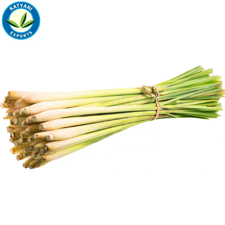 100% экстракция масла лемонграсса Паровая дистилляция