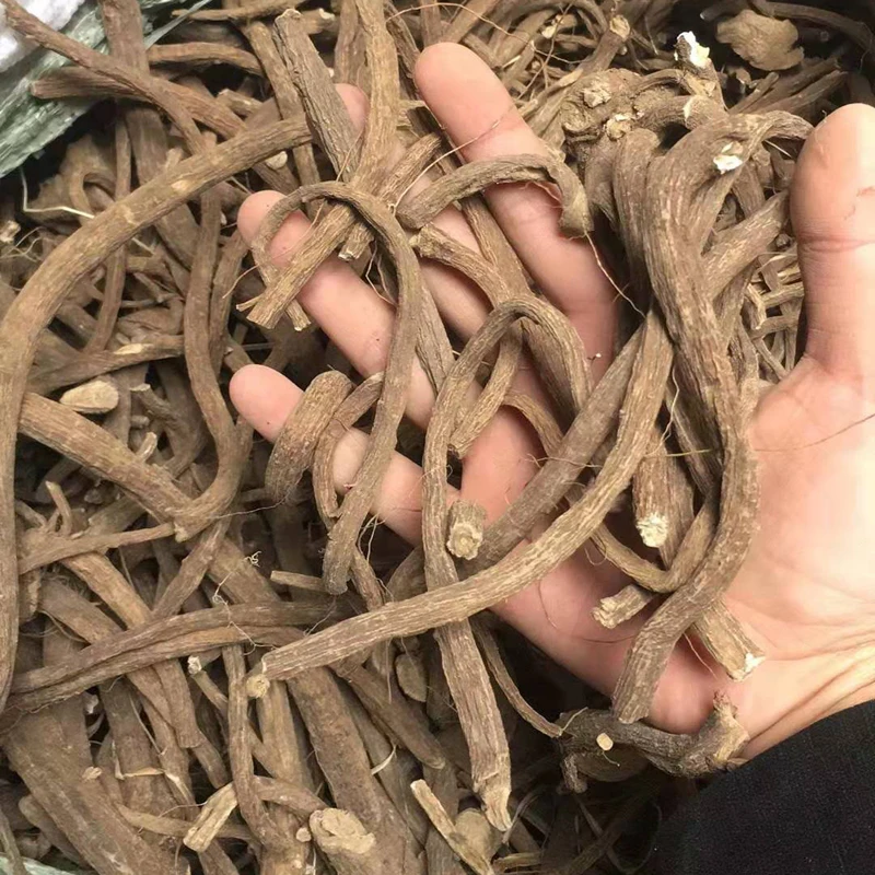 Herbs used as an anti-inflammatory  anti-microbial agent radix inulae elecampane Inula helenium L. Inula racemosa