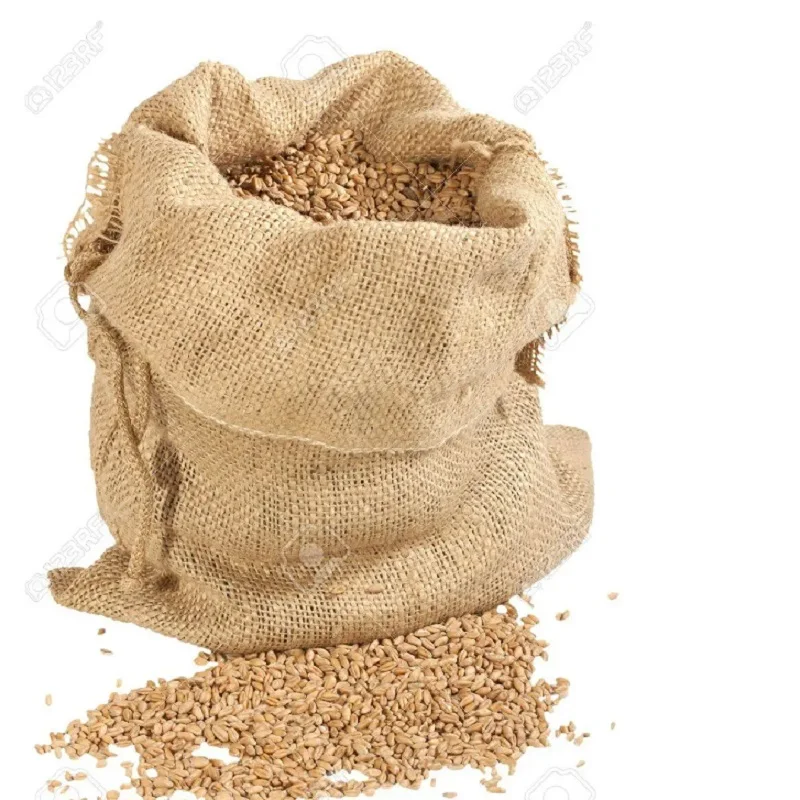 High Quality Wheat Grain for Supply Wholesale Price