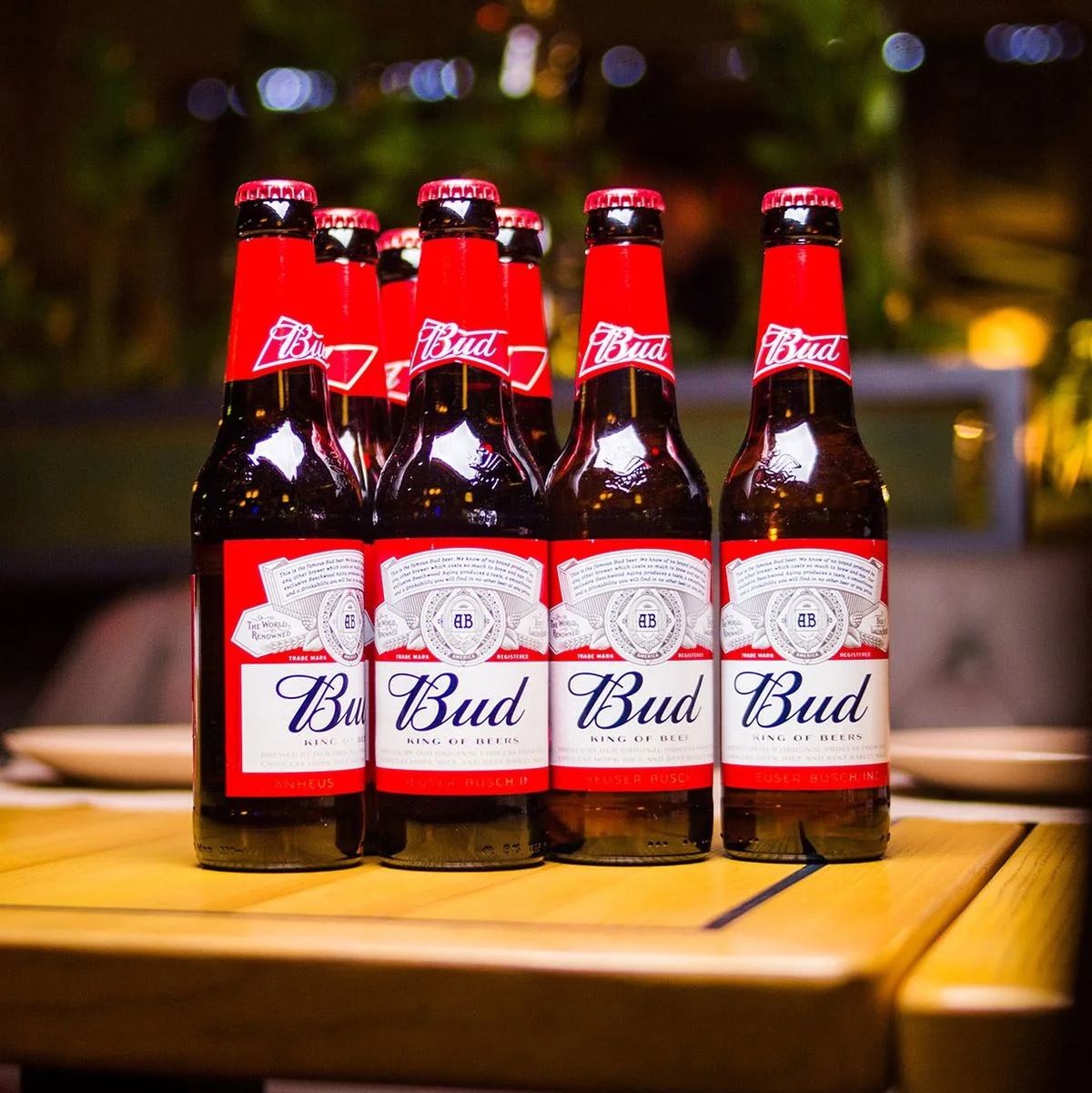 Premium Lager Budweiser Beer for sale wholesale price