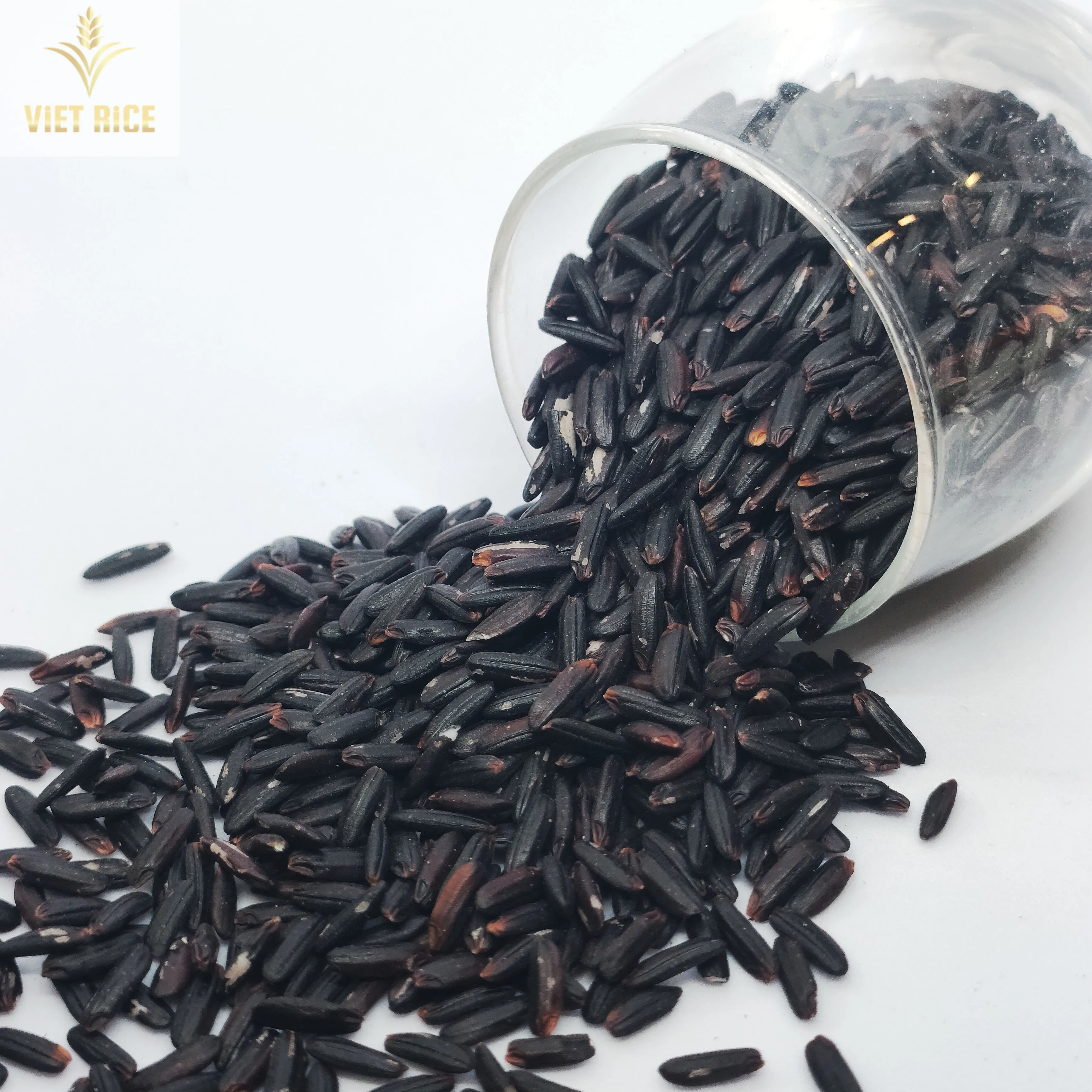 Famous Natural Organic Rice is produced from Vietnam With High Standard Best Rice BLACK GLUTINOUS RICE already for shipping