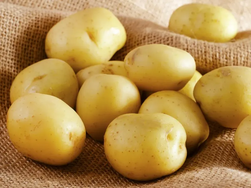 We export the best quality potatoes in the market all over the world they are very tasty and you can buy them at very low prices