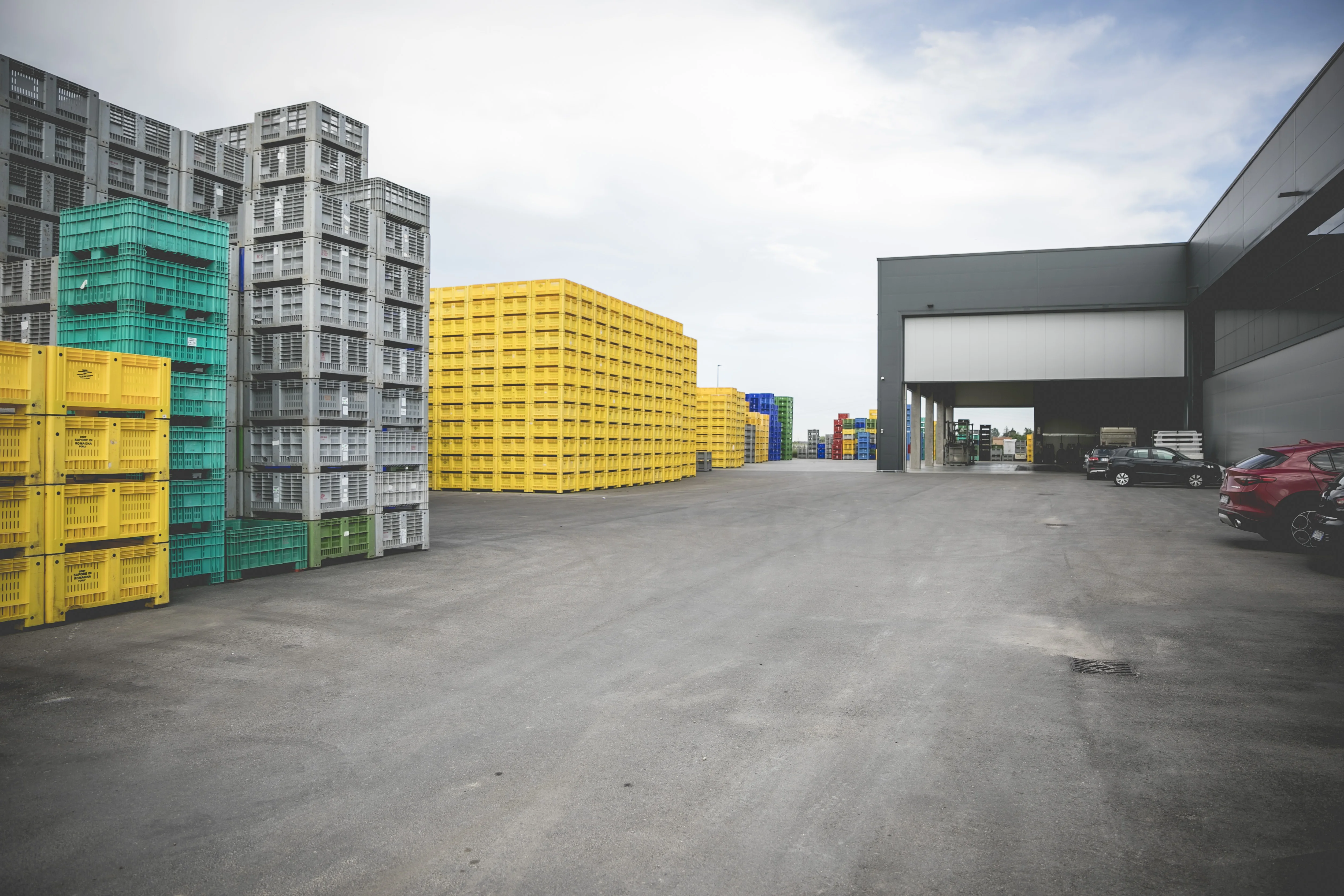 Italian Hayward Fresh Kiwi, 39 size, 75-80 grams, 10Kg Celebrity Fruit loose box, Green Actinidia chinensis