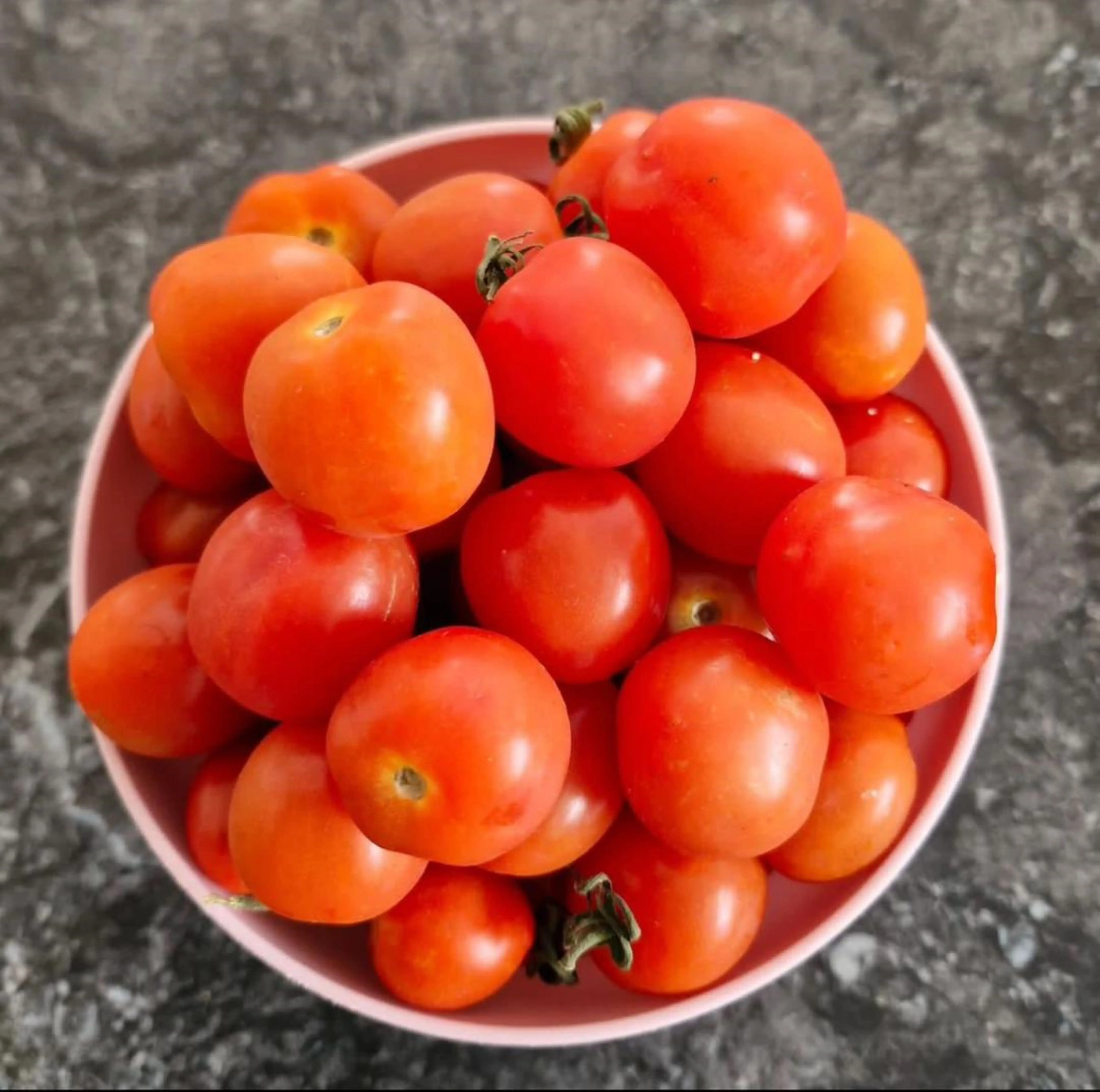 FRESH RED TOMATO AVAILABLE IN BULK