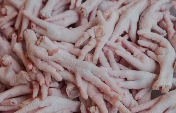 TOP SELLING FROZEN CHICKEN PAWS HIGH  QUALITY GRADE AA FROZEN CHICKEN PAWS FROM AL TAWAKAL FROZEN FOODS