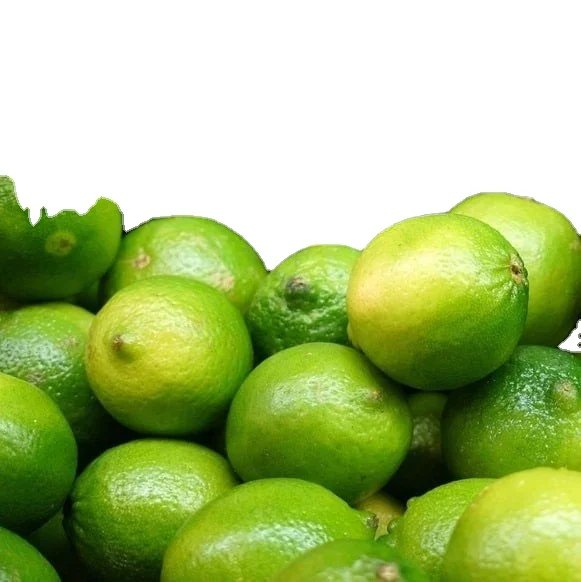 VIETNAM FRESH SEEDLESS LEMON/ GREEN LEMON-  Good Quality Best Price Wholesales product  2023// DC