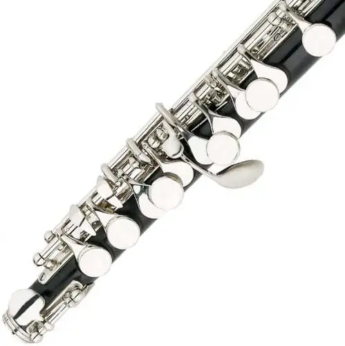 Black Resin Key of C Piccolo with Nickel Plated Keys with Case,Half-size Flute