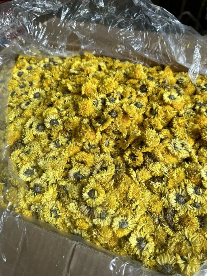 Dried flowers - Vietnam Dried Chamomile Flowers Edible Flowers