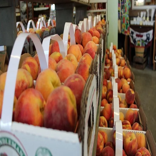 Fresh Peaches