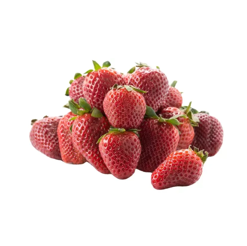 Fresh Forest Fruit in Bulk quantity 100% Best and High Demand Selling Fresh Fruit with Good Package