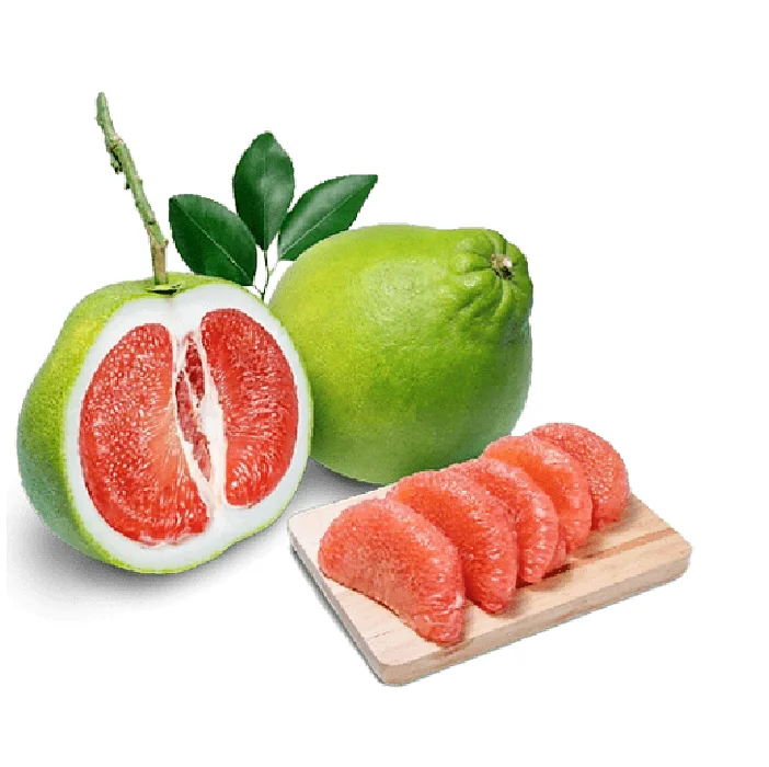 High quality Fresh Citrus Fruit Green skin pomelo grapefruit With pink flesh Brix 10 - 13% From Vietnam cheap