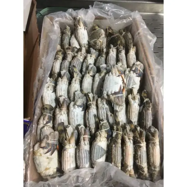 Frozen Seafood For Sale/Available Frozen Whole Blue Crab Stock For Importers