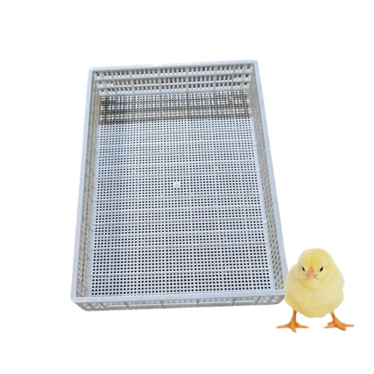 Poultry Plastic Slat Floor Good Price New Design For Duck Poultry Farming Equipment Customization Made In Vietnam Manufacturer