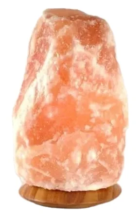 Himalayan Salt Lamps in Natural Shapes Home Decoration Bowl Animal Flower Nautical Styles Customizable Embossed Designs
