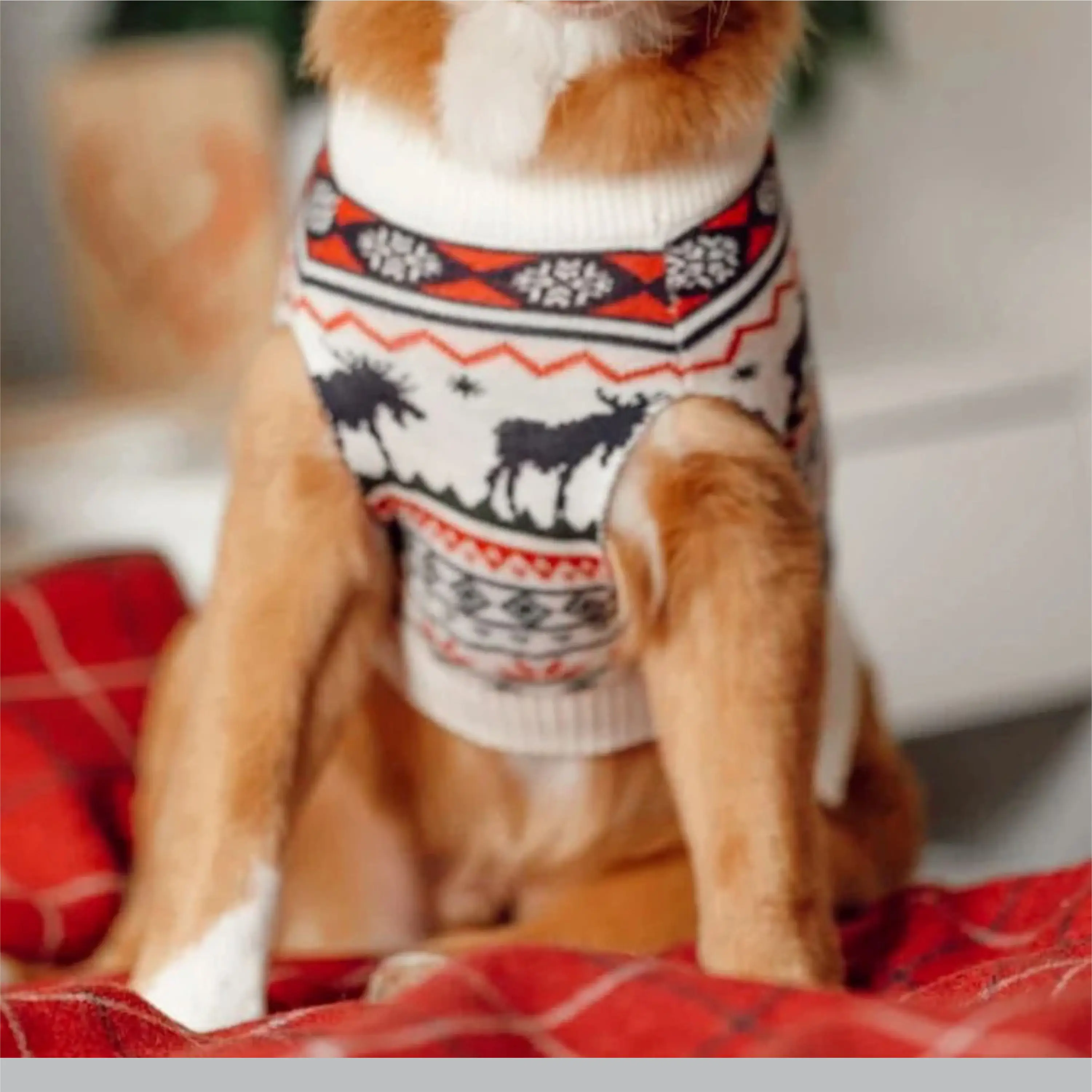 Comfortable and Stylish Rugby Sweatshirt Customizable with Logos Ideal for Team Sports and Casual Wear Available in All Sizes