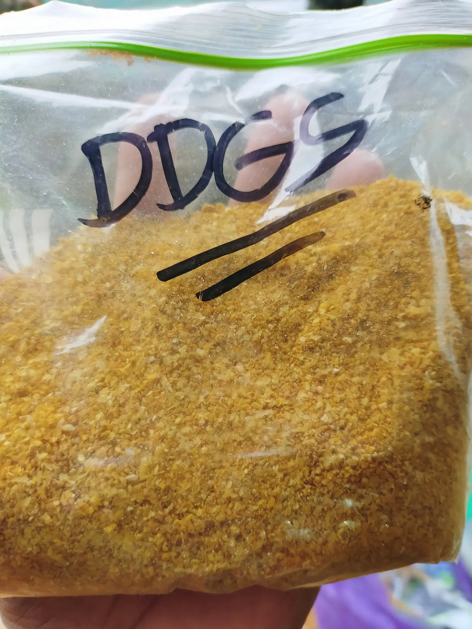 corn gluten meal 5.jpg