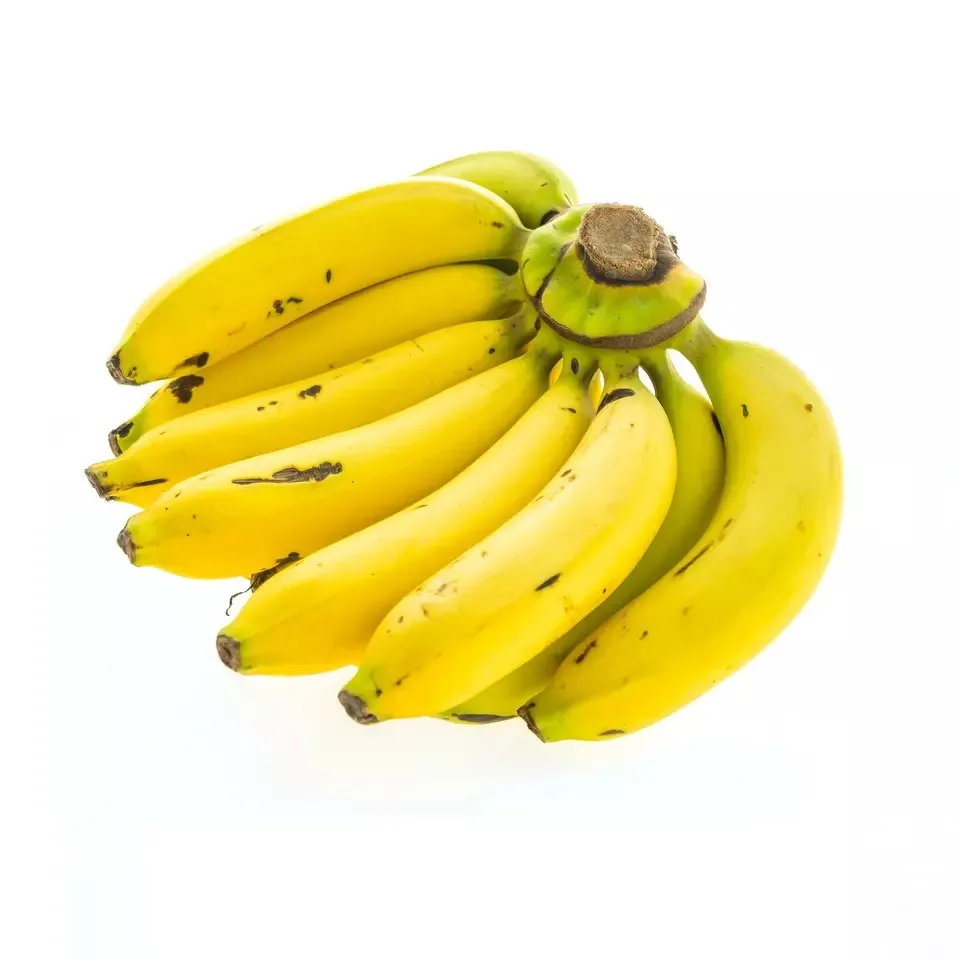 BANANAS from ECUADOR Yellow Green PREMIUM Tropical BANANA Style Cavendish Color Weight Origin Type Certificate Quality Variety