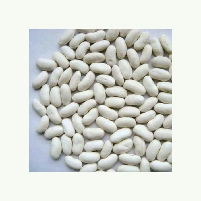 Best Quality Wholesale White Kidney Beans For Sale In Cheap Price Top Grade Wholesale white kidney Beans For Sale In Cheap Price