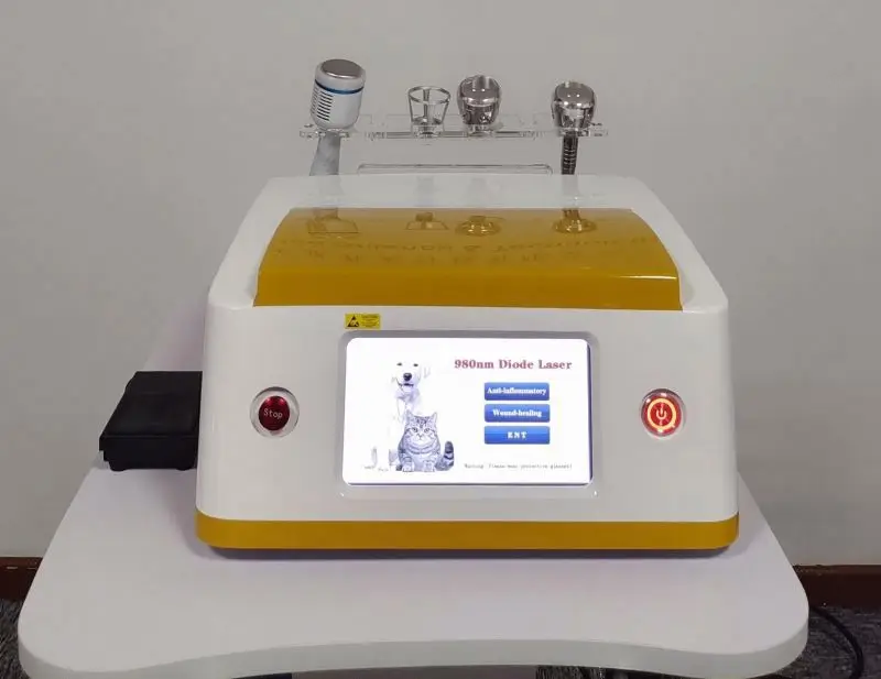 Veterinary Laser Therapy Equipment MSLLV02 / Physiotherapy Machine for Vet