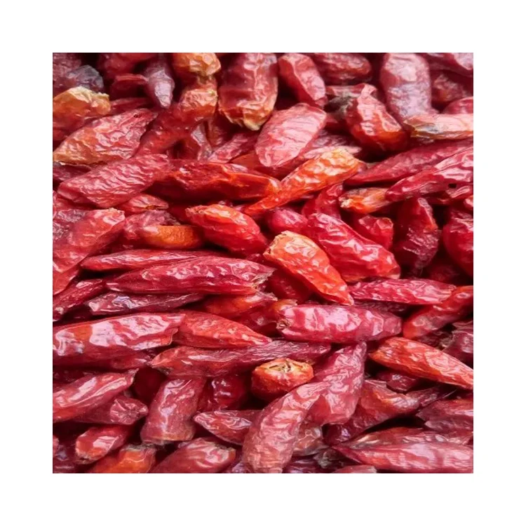 Best Quality Single Spices & Herbs Wholesale Dried Red Hot Spice Round Stemless Red Chilli Pepper from Nigeria