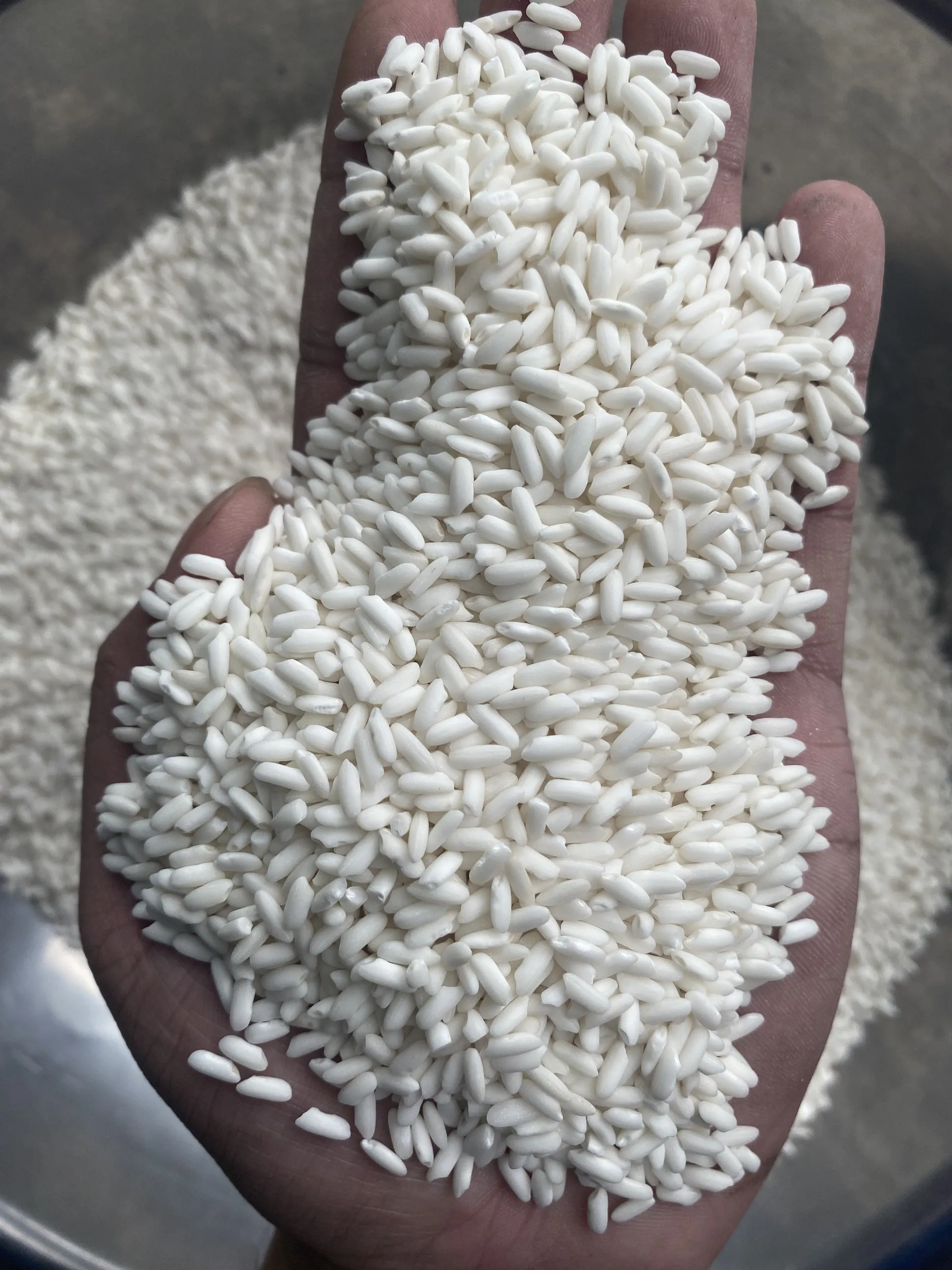 Glutinous rice vietnamese rice Vilaconic Vietnam best quality, competitive price |+84332469432 Ms Emma