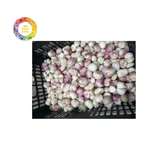 Вьетнамский фиолетовый лук сушеный незаменимый улучшитель вкуса для супов соусов и закусок