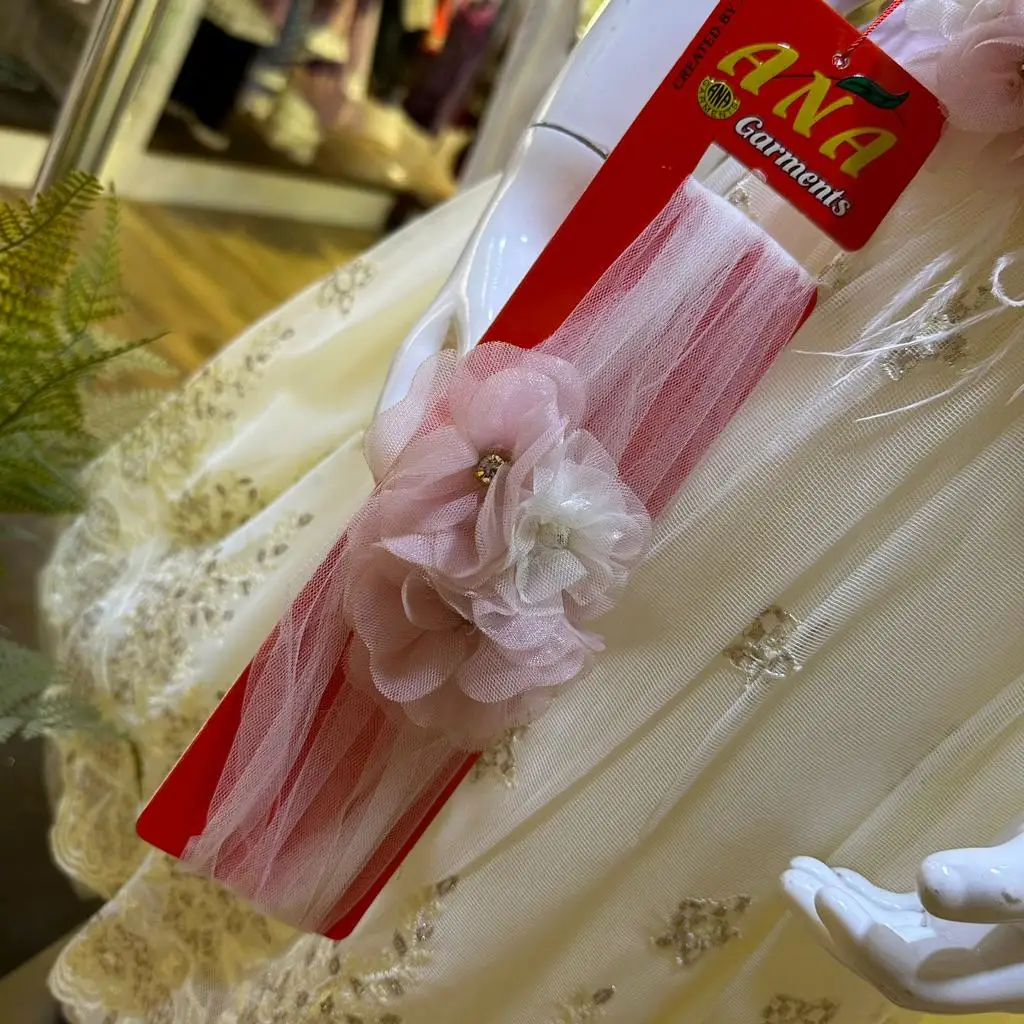 2024 New collection of girls embroidery fancy dress suit with hairband