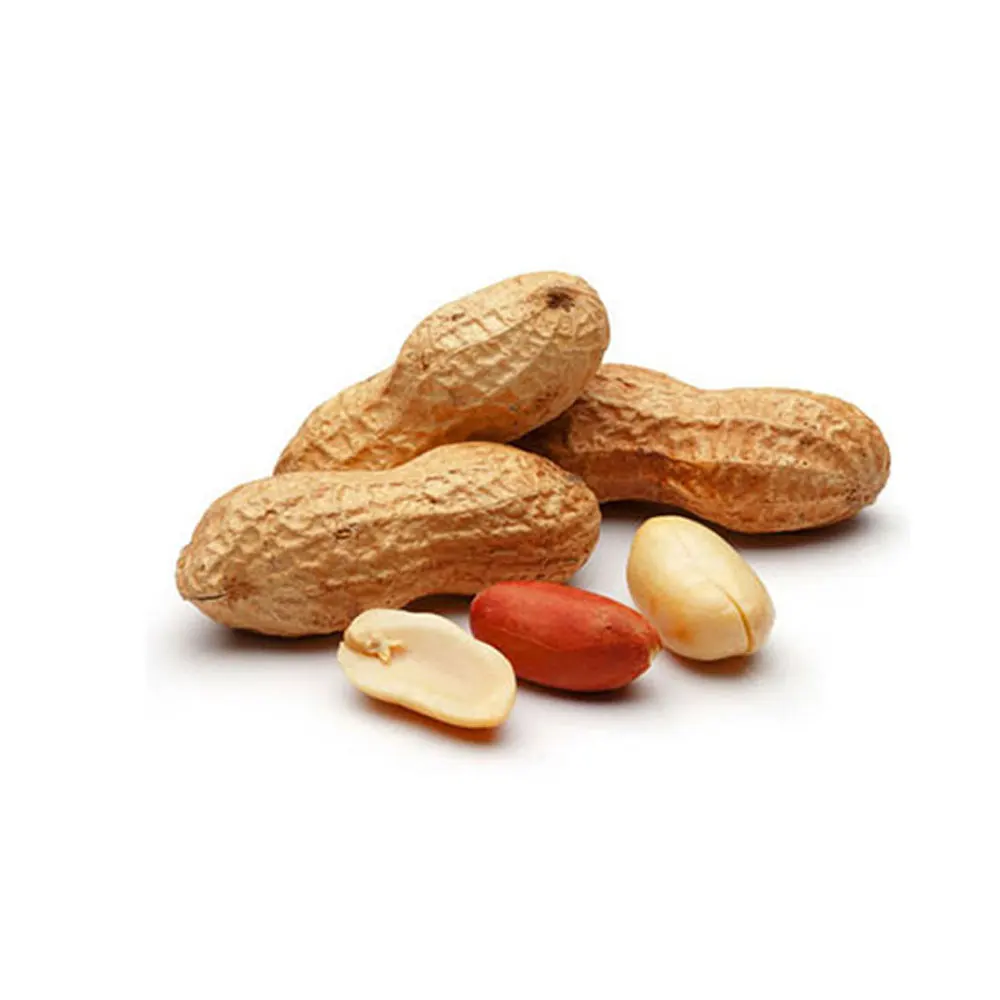 Light Weight Low MOQ Ground Nut OEM Service Ground Nut Solid Color Ground Nut