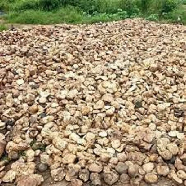 NATURAL RUBBER CUP LUMP