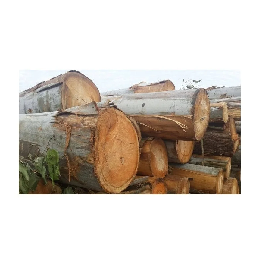 Эвкалиптовые бревна-прямо из леса, оптовые цены