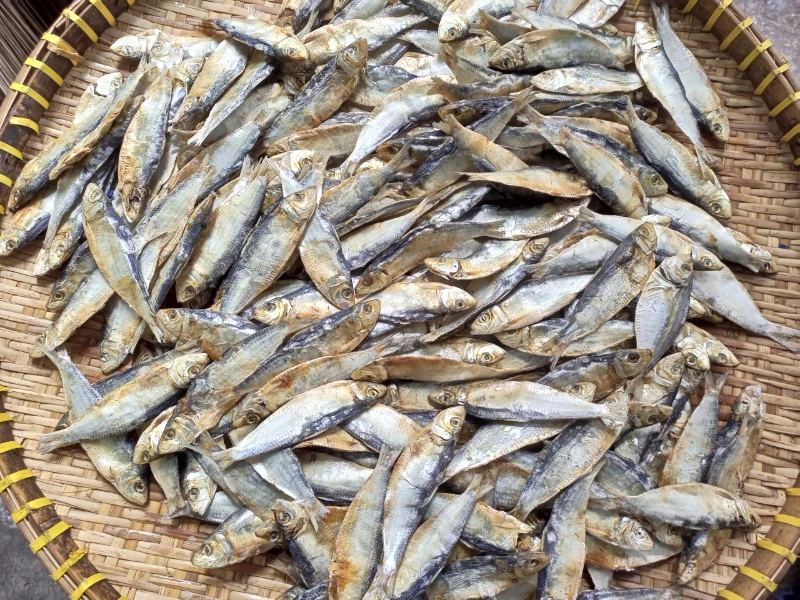 The best seller 100% Natural Dried Herring - Top quality Vietnam Seafood with the best price